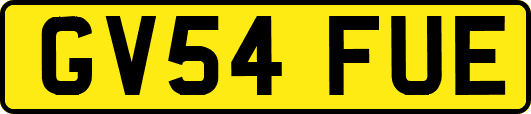 GV54FUE