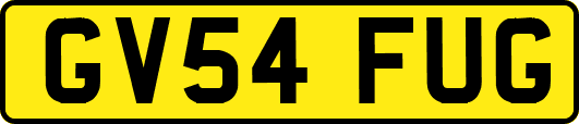GV54FUG