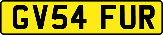 GV54FUR