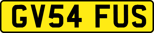 GV54FUS