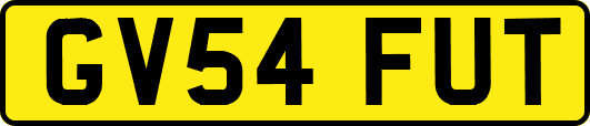 GV54FUT