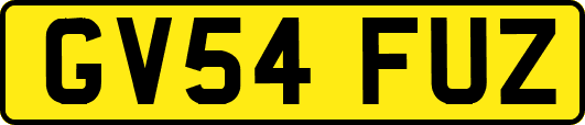 GV54FUZ