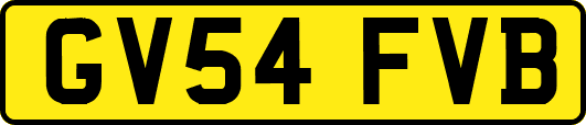 GV54FVB
