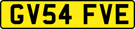 GV54FVE
