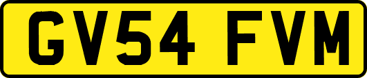 GV54FVM