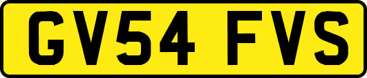 GV54FVS