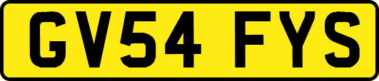 GV54FYS
