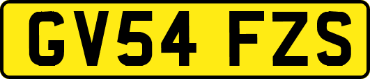 GV54FZS