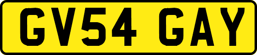 GV54GAY