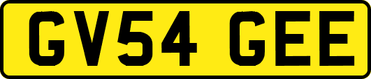 GV54GEE
