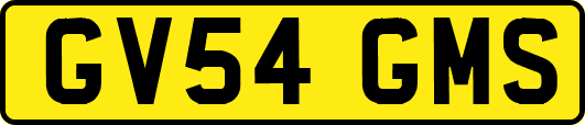 GV54GMS