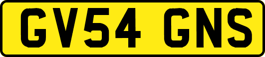 GV54GNS