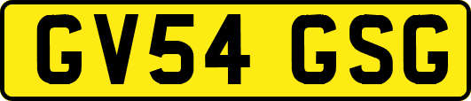 GV54GSG