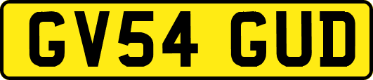 GV54GUD