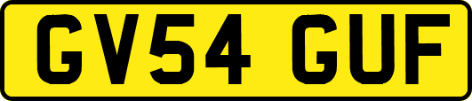 GV54GUF