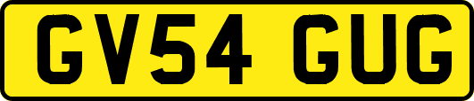 GV54GUG