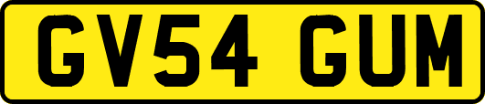 GV54GUM