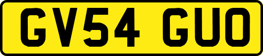 GV54GUO