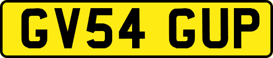 GV54GUP