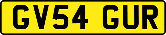 GV54GUR
