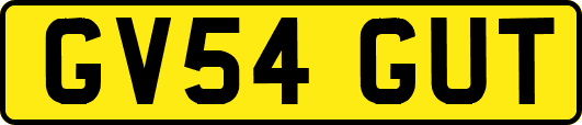 GV54GUT