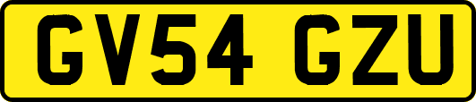 GV54GZU
