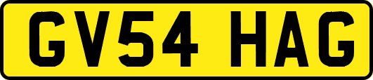 GV54HAG