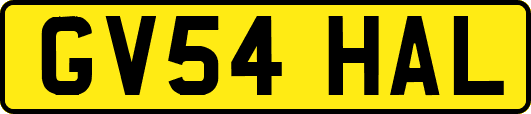 GV54HAL