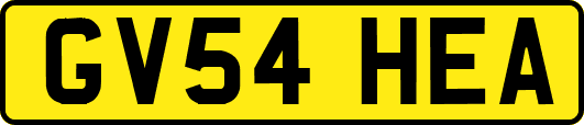 GV54HEA