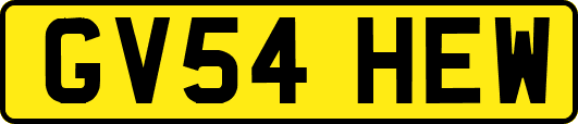 GV54HEW