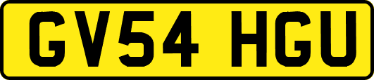 GV54HGU