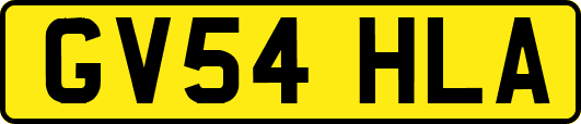 GV54HLA