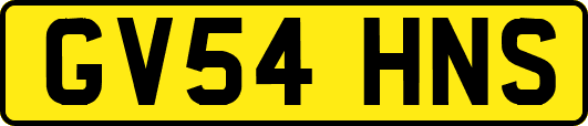 GV54HNS