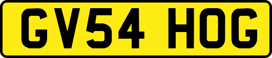 GV54HOG