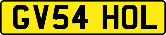GV54HOL