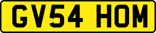 GV54HOM