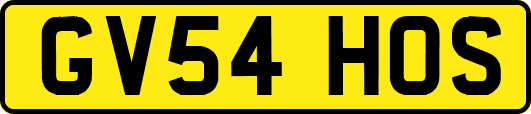 GV54HOS