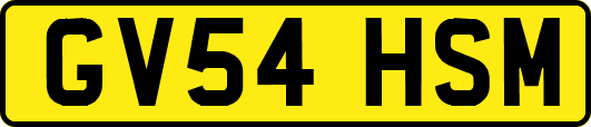 GV54HSM