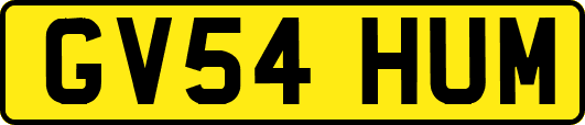 GV54HUM
