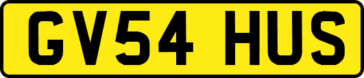 GV54HUS