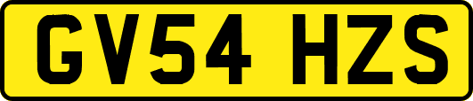 GV54HZS