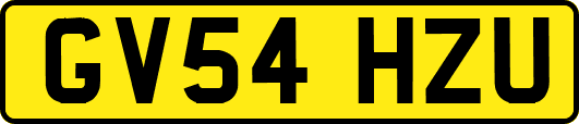 GV54HZU