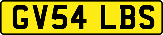 GV54LBS