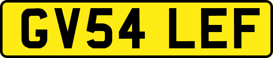 GV54LEF