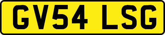 GV54LSG