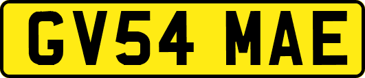 GV54MAE