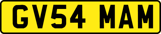 GV54MAM