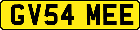 GV54MEE