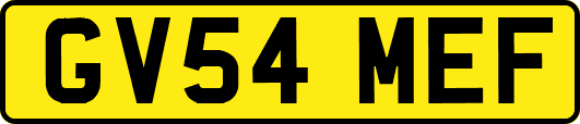 GV54MEF