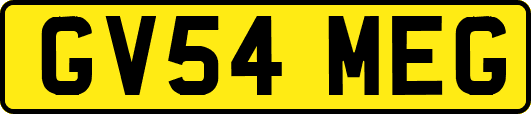 GV54MEG